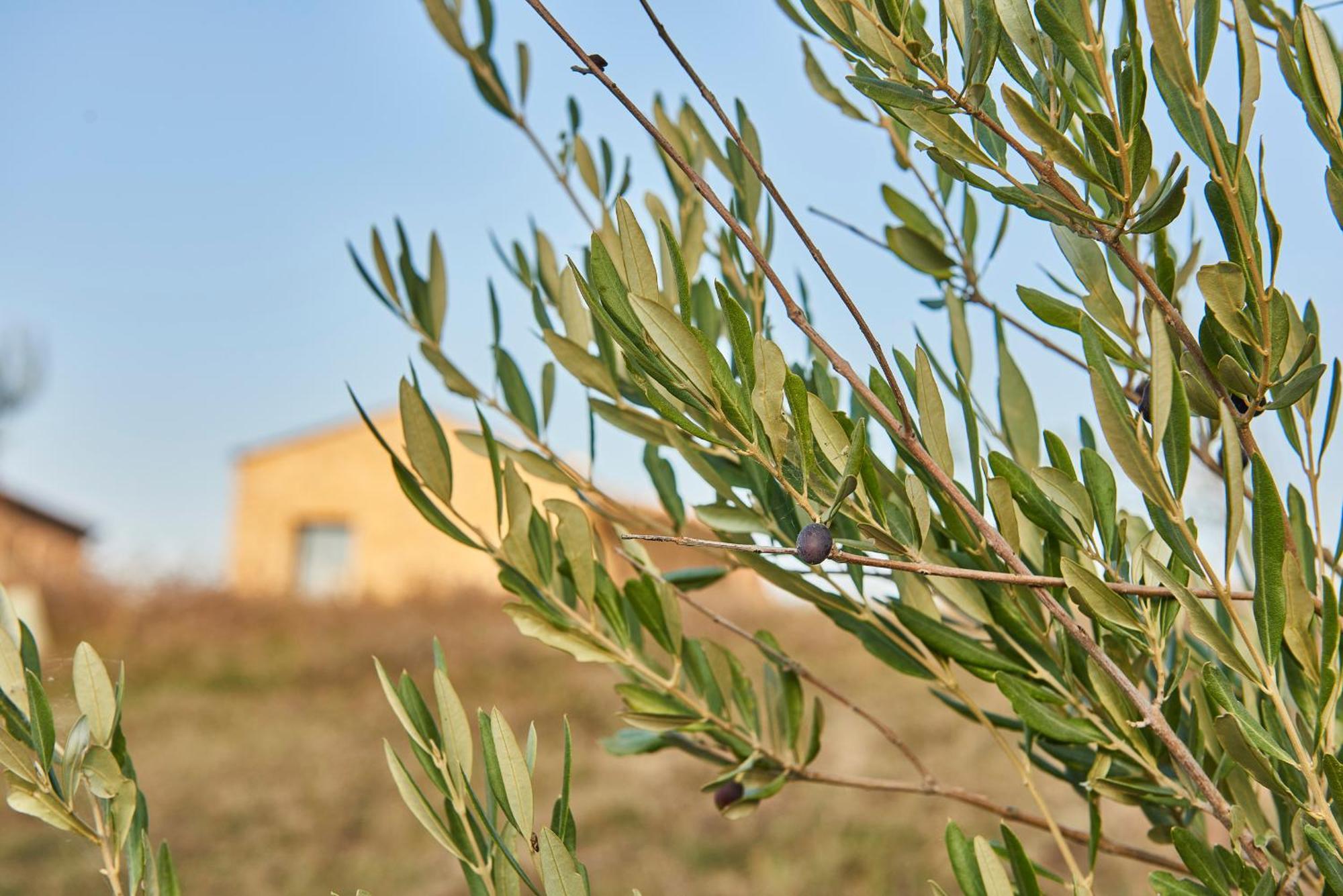 Agriturismo Prato Del Re Prignano sulla Secchia Exterior foto